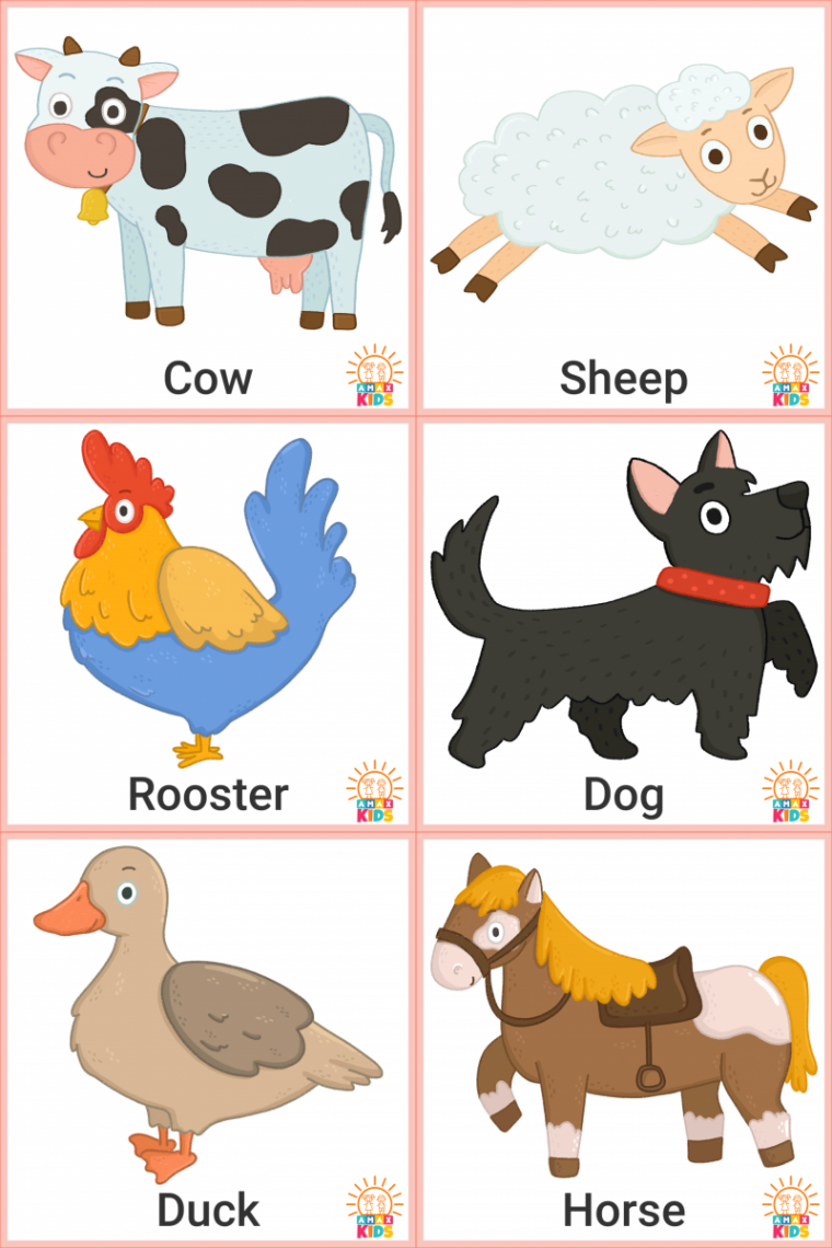 Printable Flashcards for Kids – Farm Animals  Amax Kids