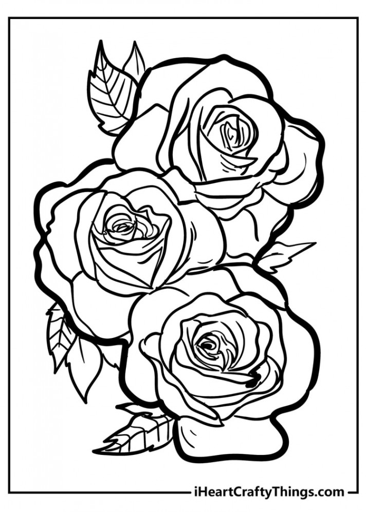 Rose Coloring Pages (% Free Printables)