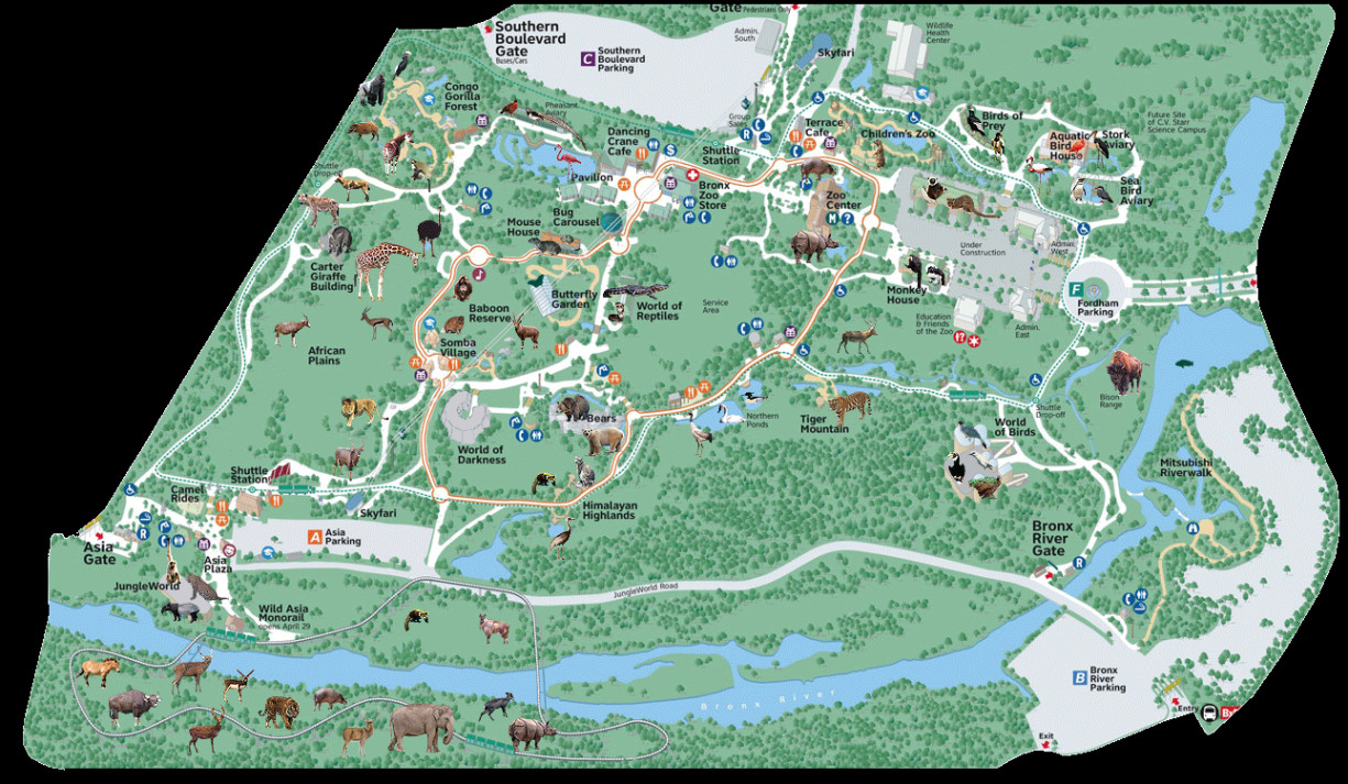 The map of Bronx zoo in New York, USA