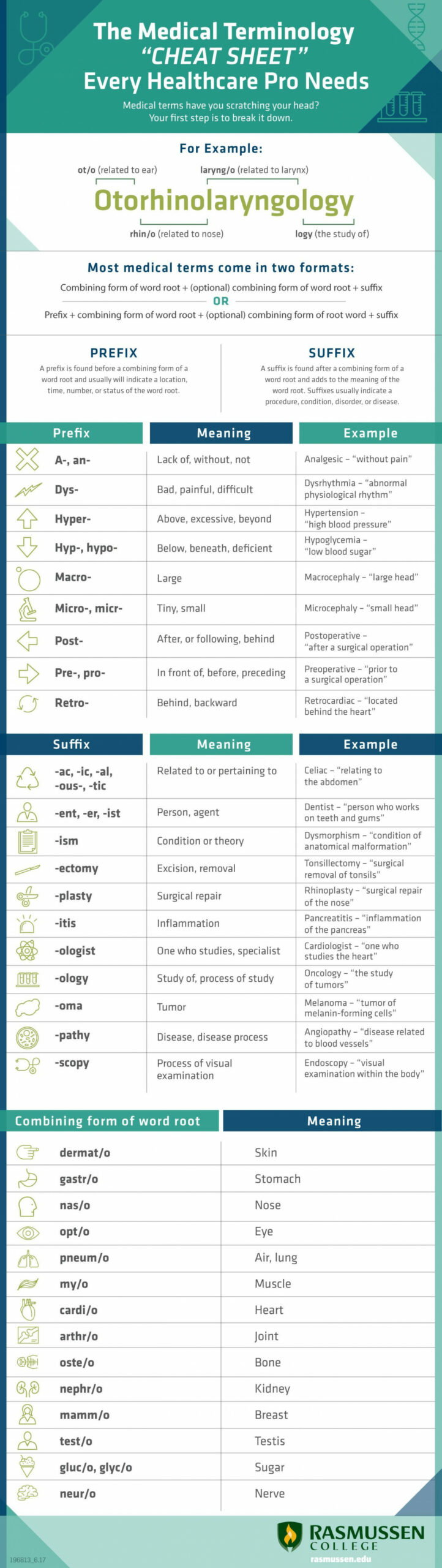 The Medical Terminology "cheat sheet" Every Healthcare Pro Needs