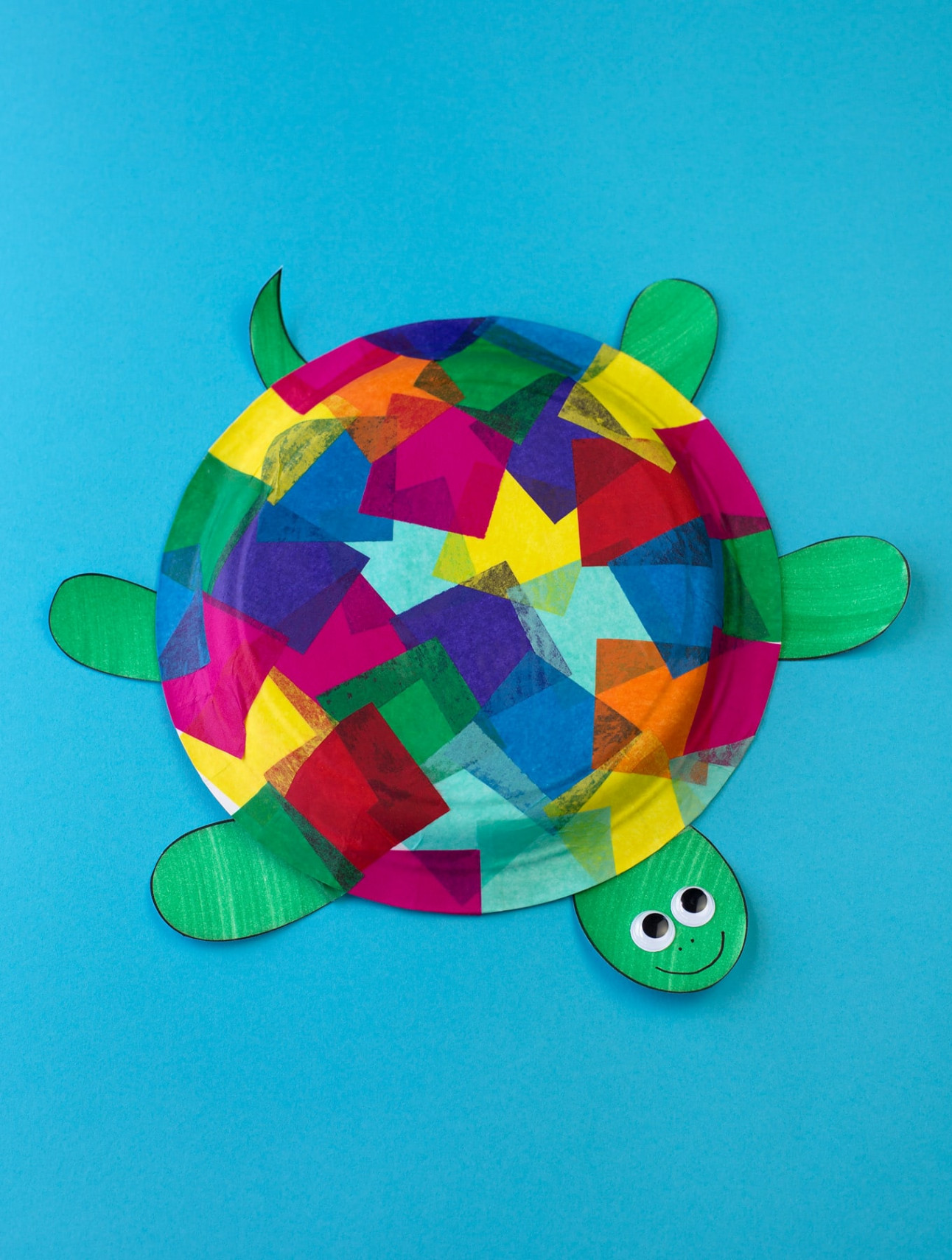 Tissue Paper and Paper Plate Turtle Craft