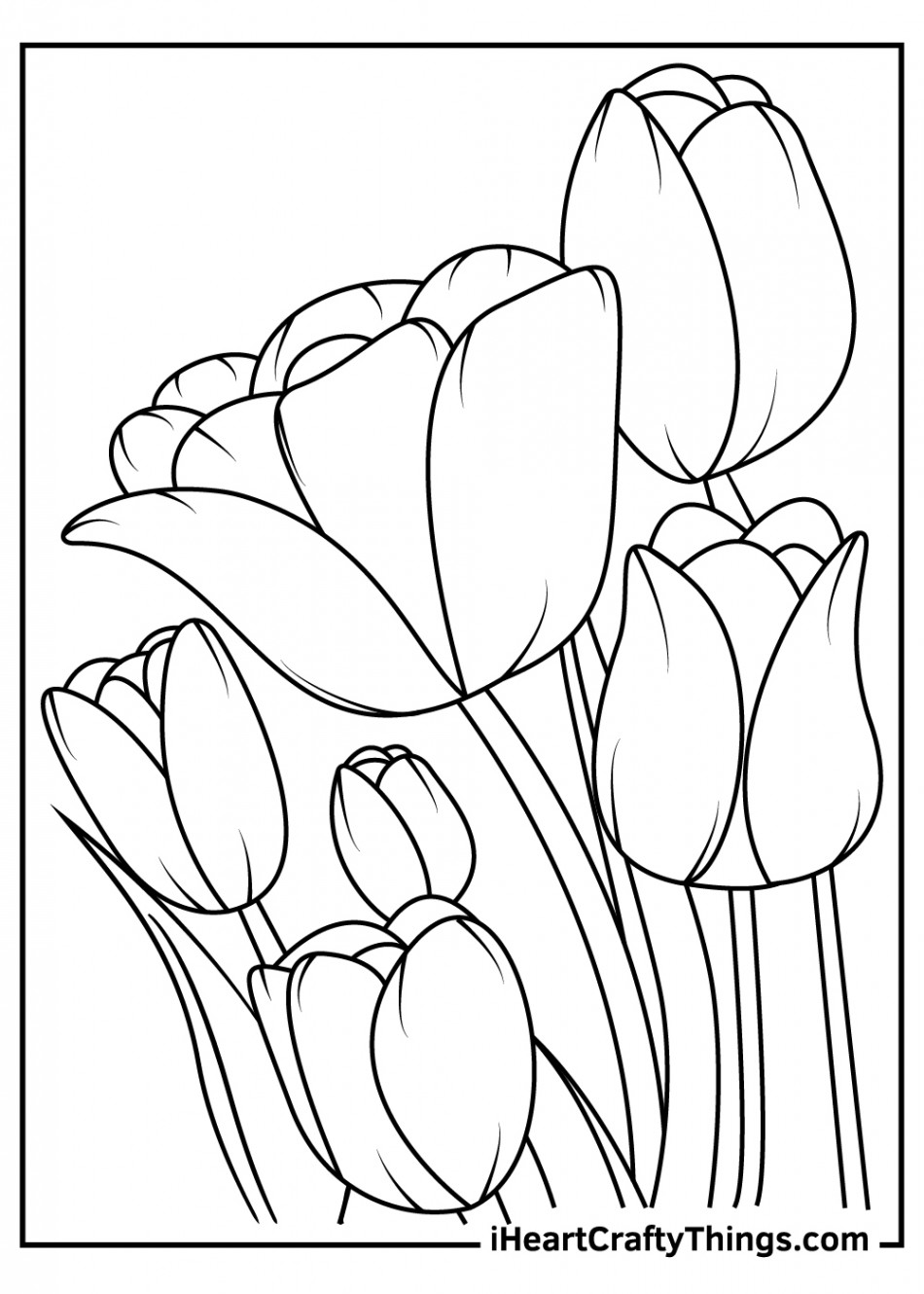 Tulip Coloring Pages (Updated )