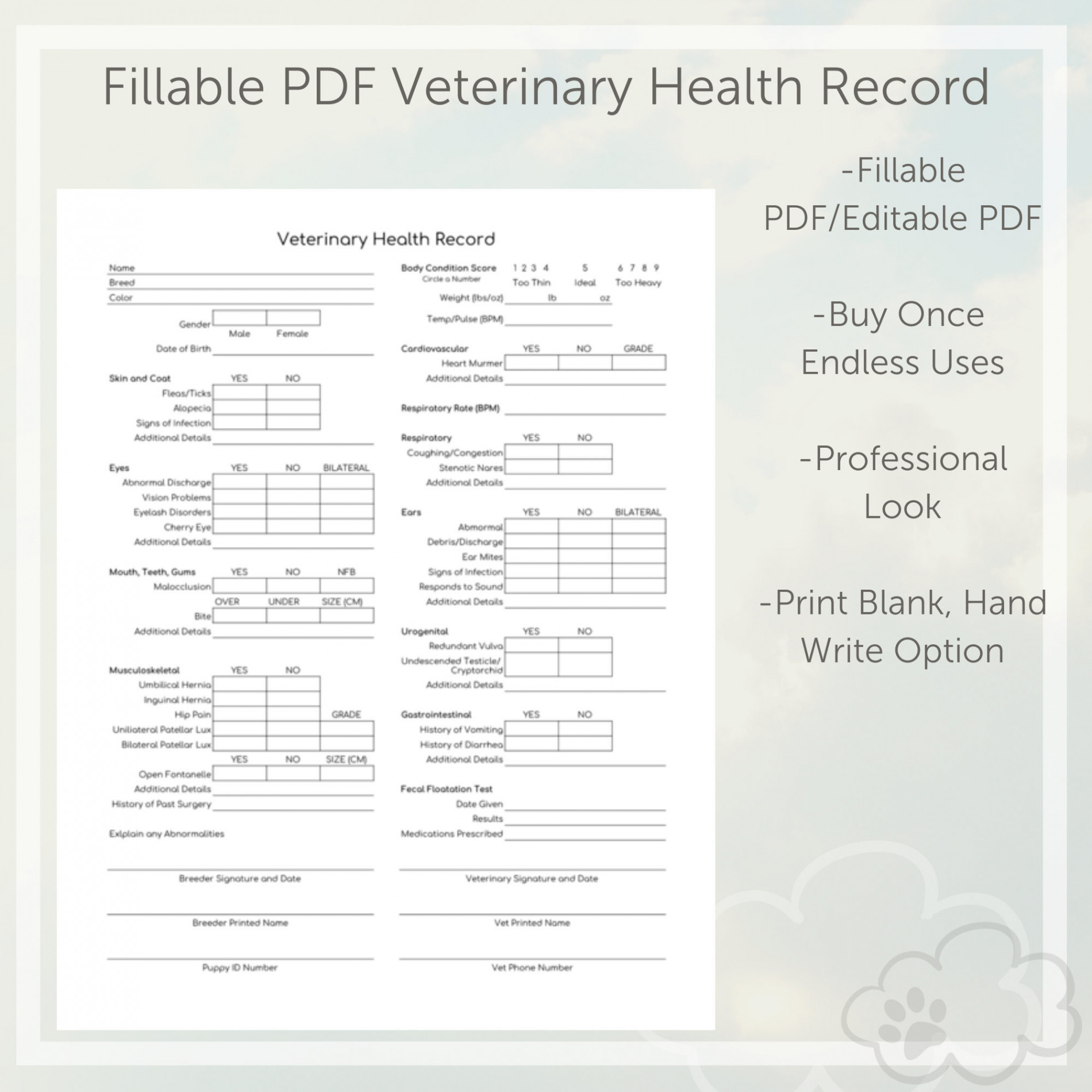 Veterinary Health Record Fillable PDF - Etsy