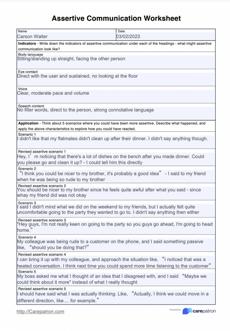 Assertive Communication Worksheet & Example  Free PDF Download