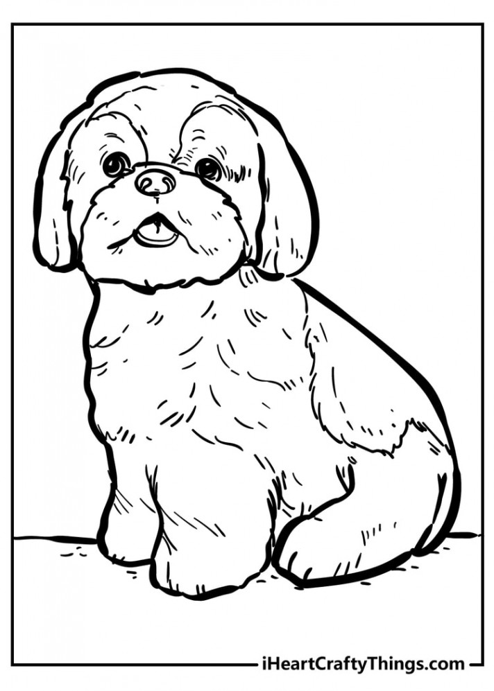 Dog Coloring Pages (% Free Printables)