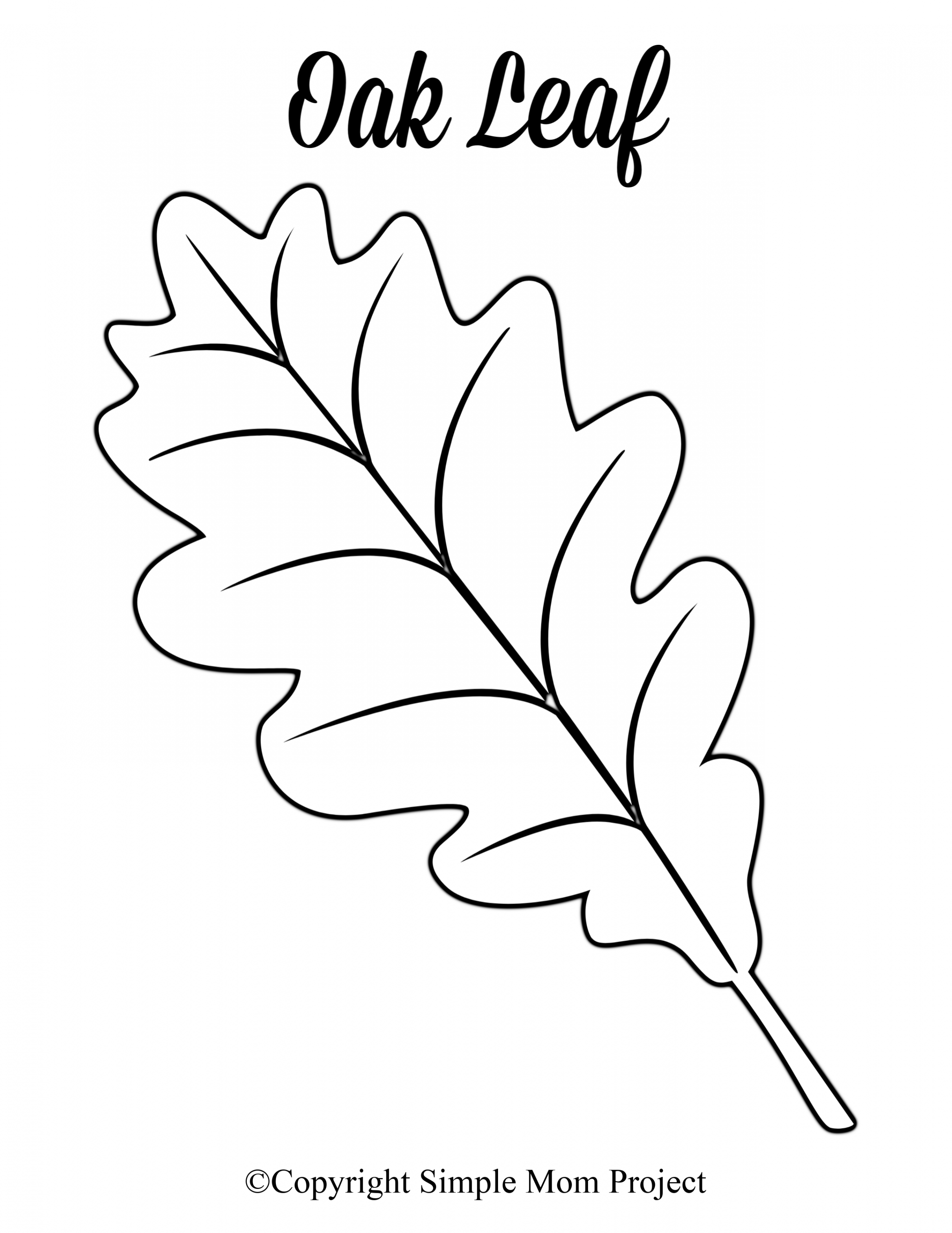 Free Printable Large Leaf Templates, Stencils and Patterns  Leaf