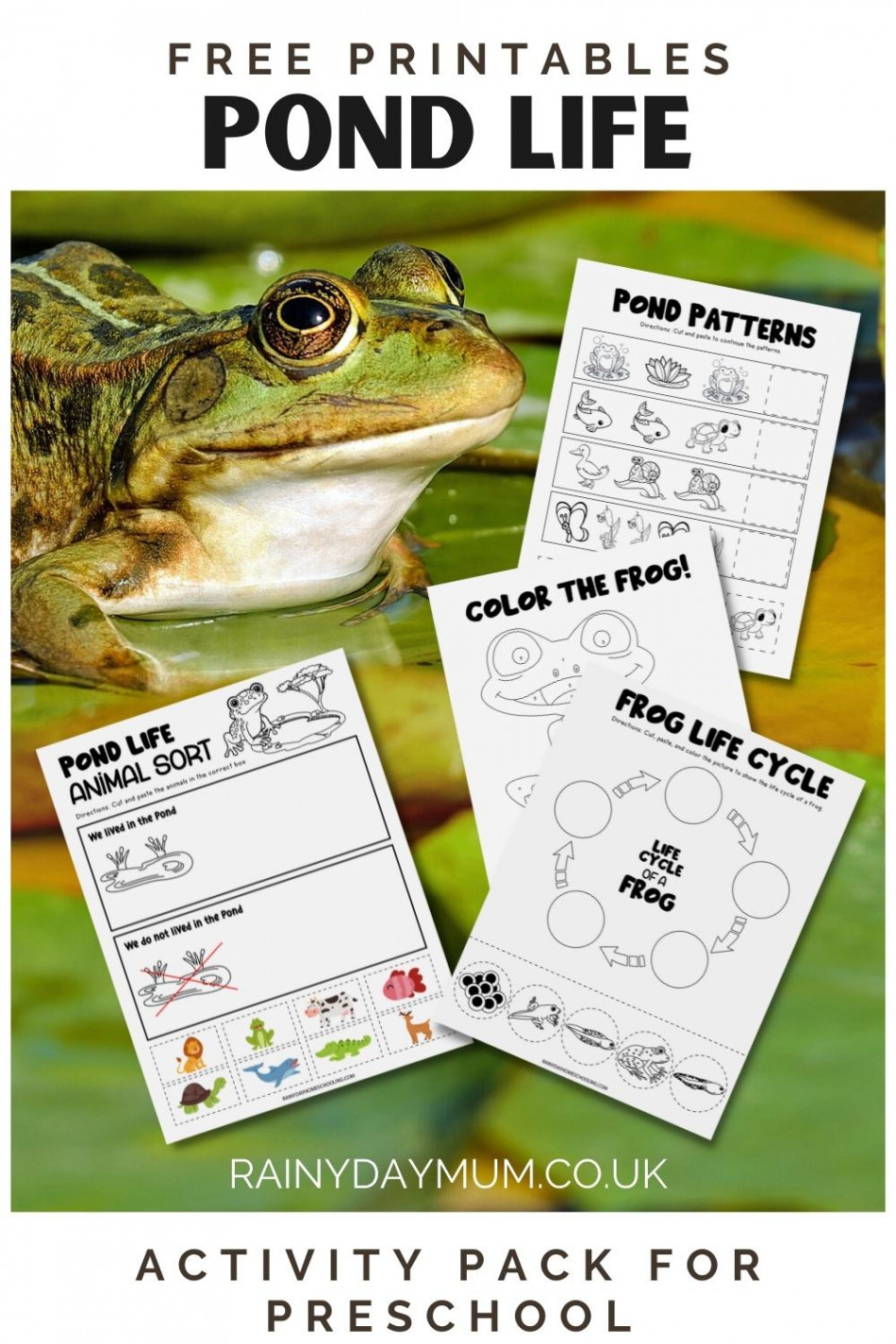 FREE Printable Preschool Pond Life Activity Pack