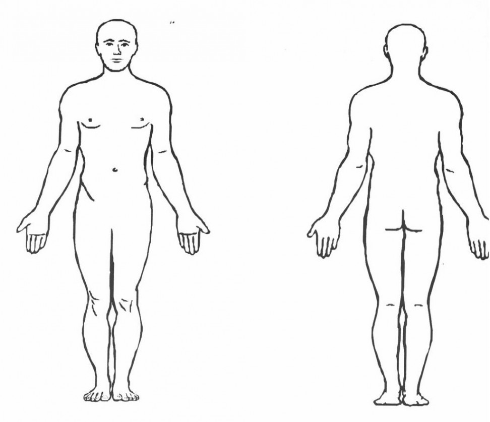 Human body diagram, Body diagram, Body chart