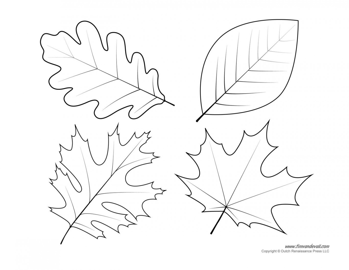 Leaf Templates & Leaf Coloring Pages for Kids  Leaf Printables