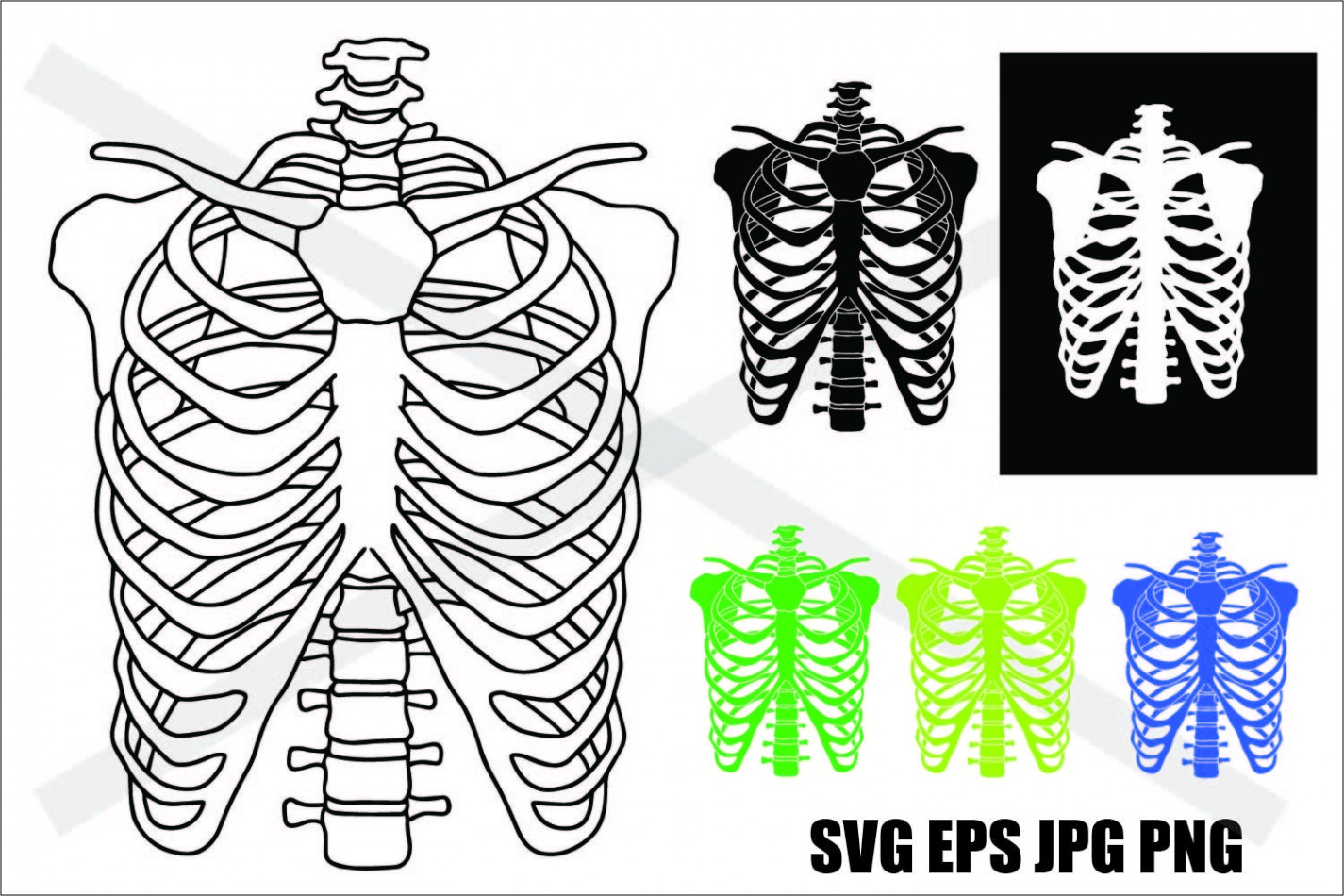 Skeleton Ribcage - SVG-EPS-JPG-PNG