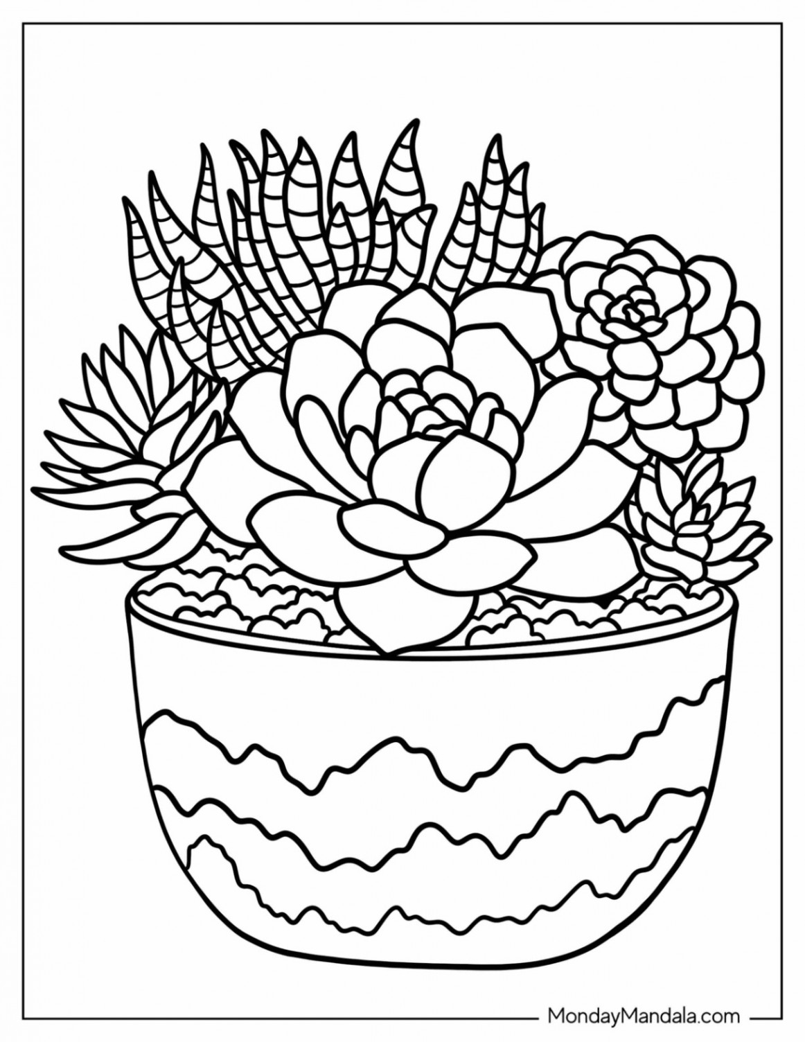 Succulent Coloring Pages (Free PDF Printables)