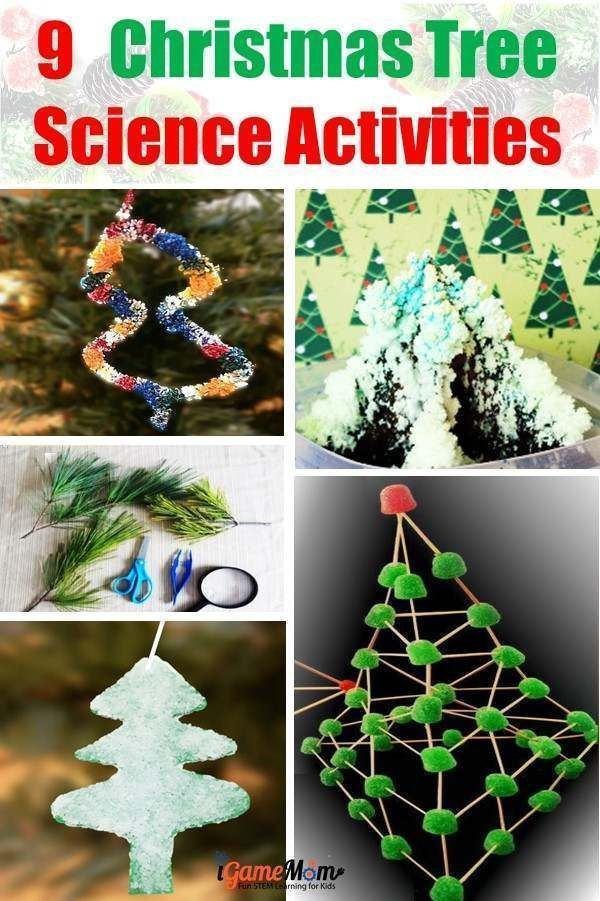 20 Christmas Activities In Science Download