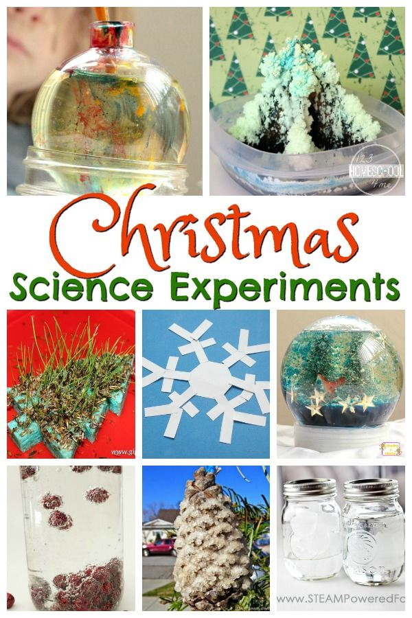 20 Christmas Activities In Science Free