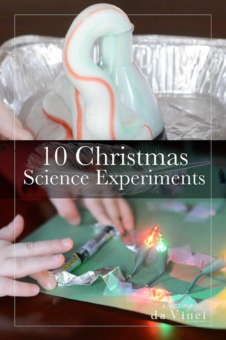 20 Christmas Activities In Science Free