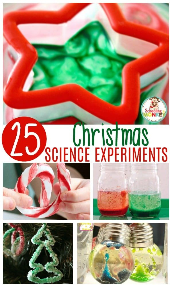 20 Christmas Activities In Science Pdf