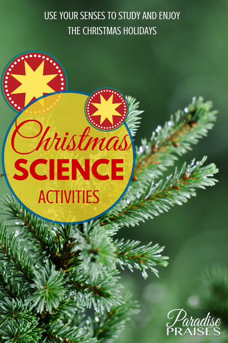 30 Christmas Activities In Science Free