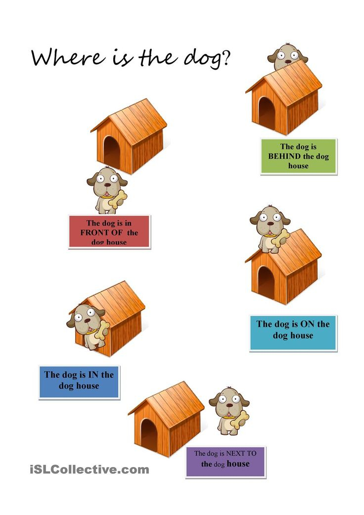 30 Preposition Worksheets For Kindergarten