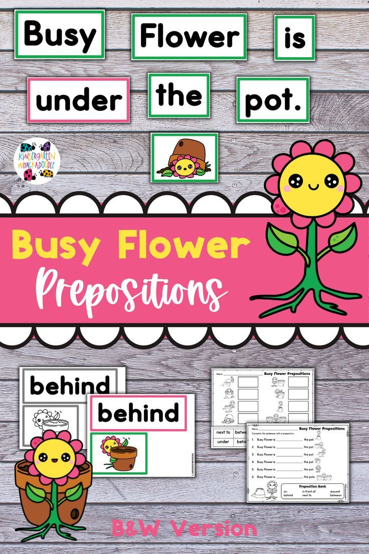 30 Preposition Worksheets For Kindergarten