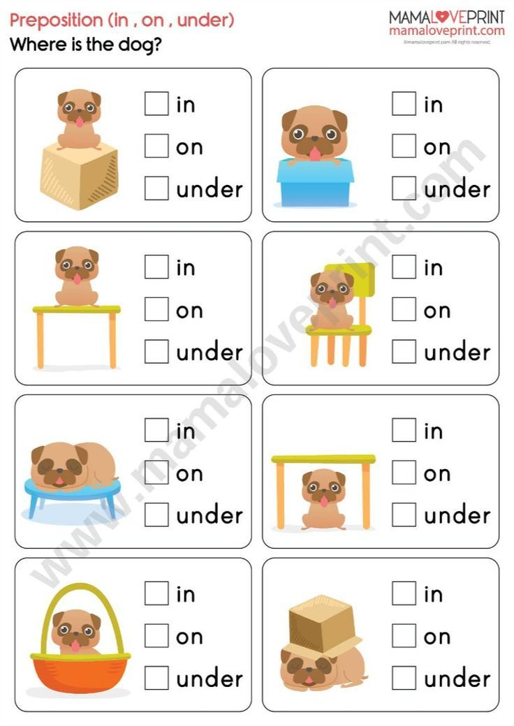 30 Preposition Worksheets For Kindergarten
