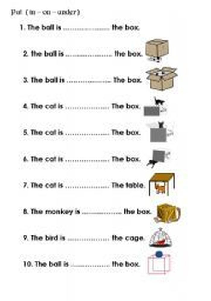 30 Preposition Worksheets For Kindergarten