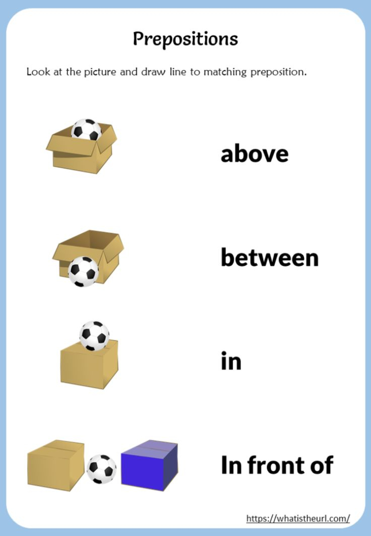 30 Preposition Worksheets For Kindergarten