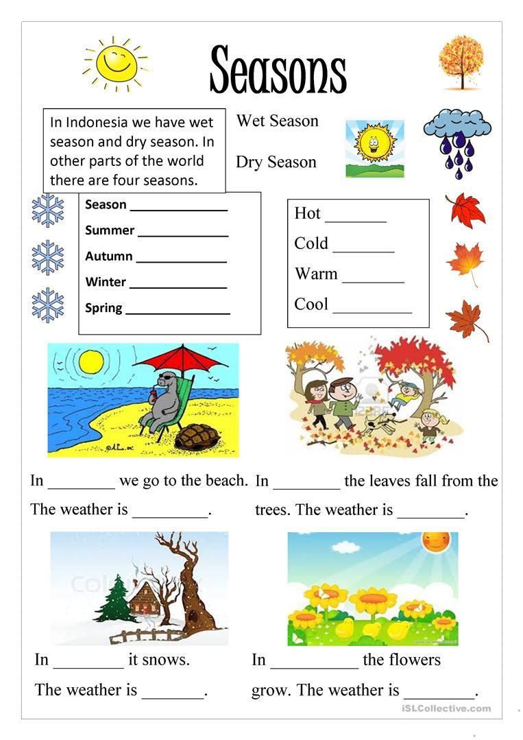 30 Seasons Of The Year Worksheets Kindergarten