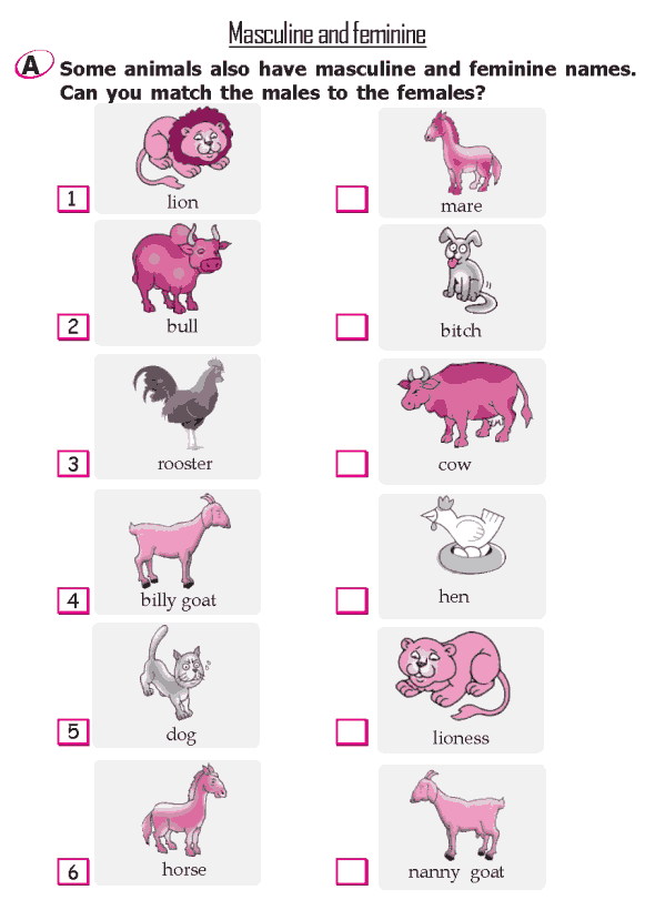 21 2Nd Grade Worksheets Grammar