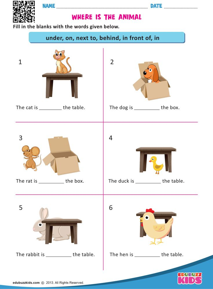 21 Preposition Worksheets For Kindergarten