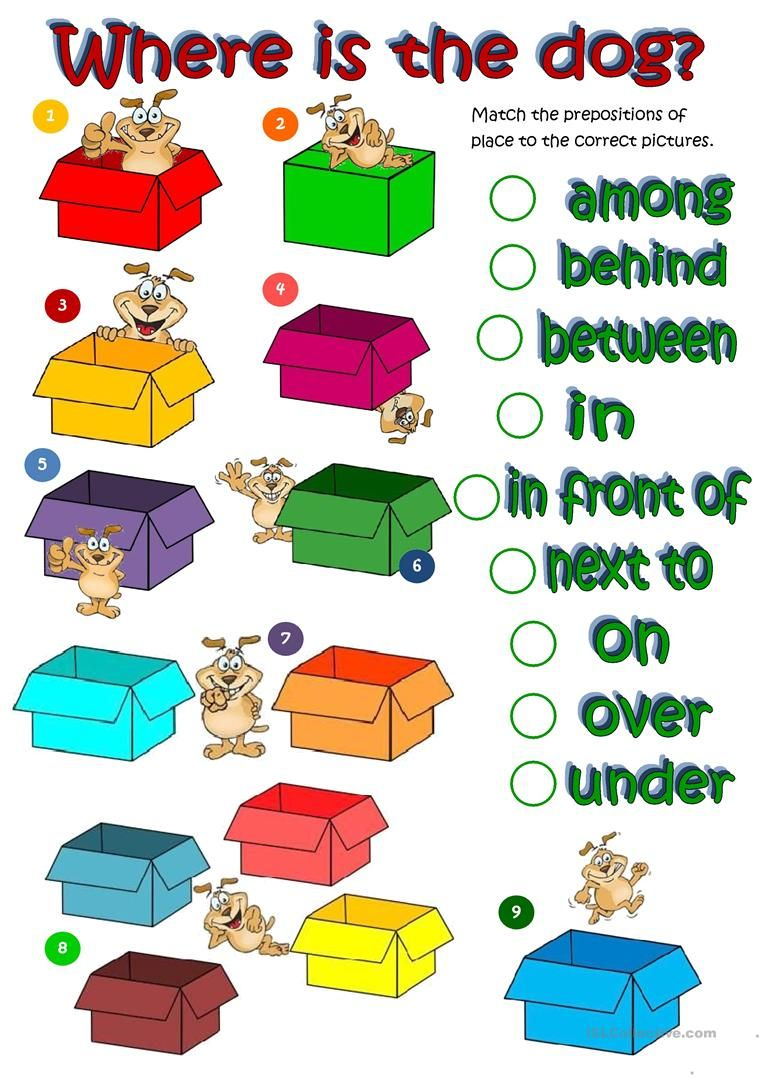21 Preposition Worksheets For Kindergarten