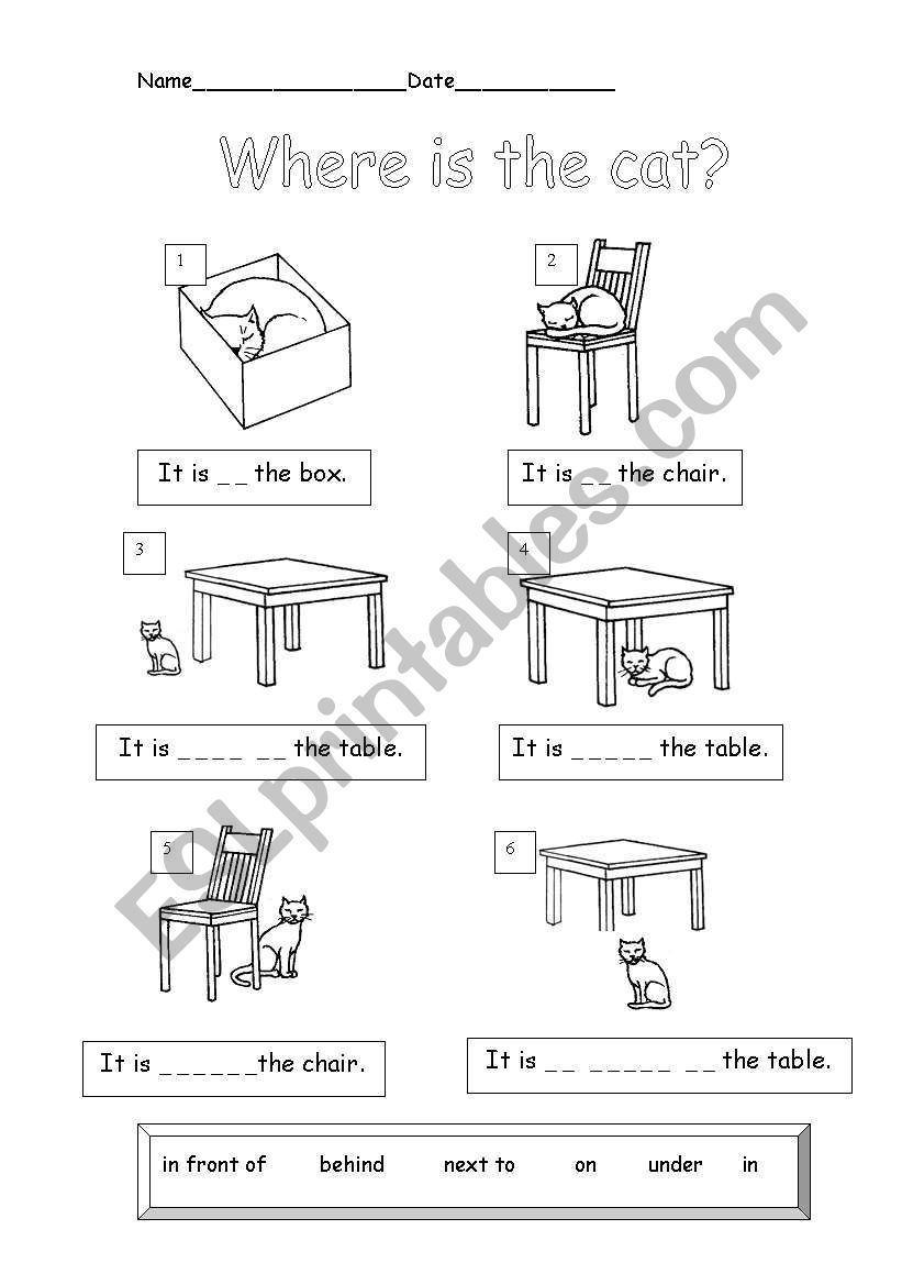 21 Preposition Worksheets For Kindergarten