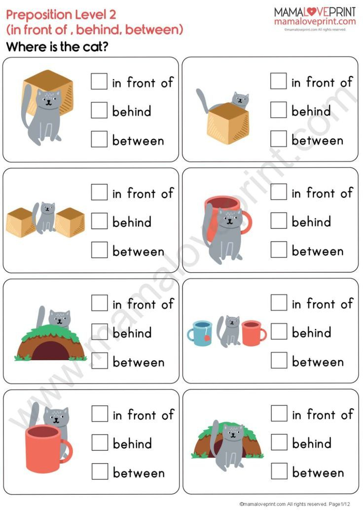 21 Preposition Worksheets For Kindergarten