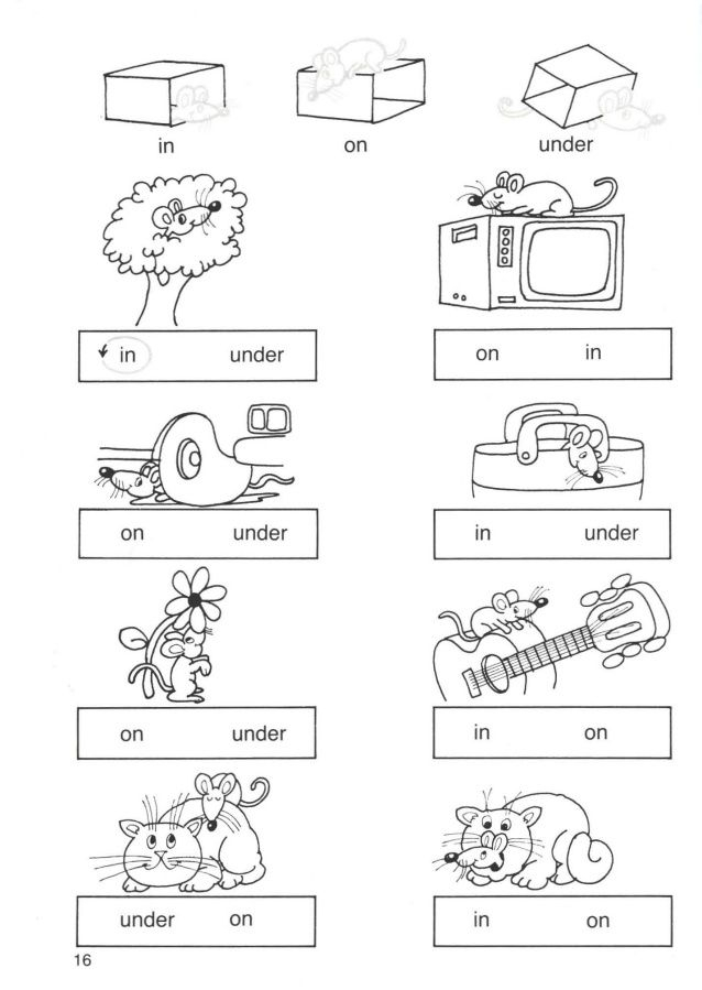 21 Preposition Worksheets For Kindergarten