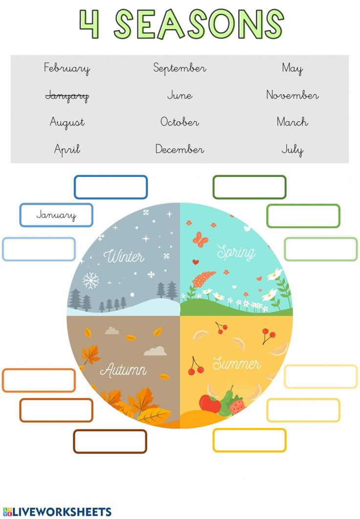 21 Seasons Of The Year Worksheets Kindergarten